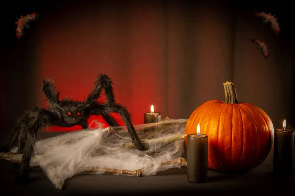 Halloween Pompoen Met Spinnenweb Spinnenweb Donkere Achtergrond — Stockfoto