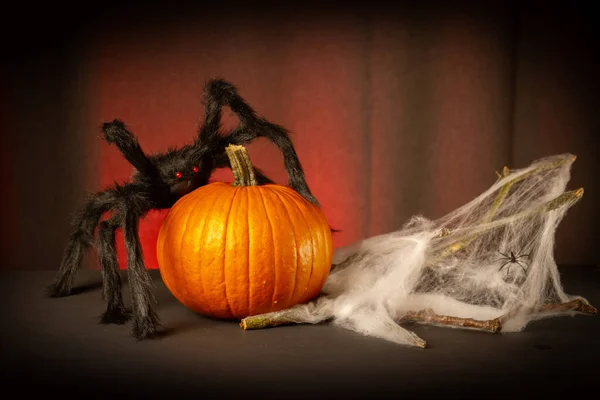 Abóbora Halloween Com Teia Aranha Teia Aranha Fundo Escuro — Fotografia de Stock