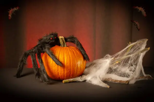 Calabaza Halloween Con Tela Araña Telaraña Sobre Fondo Oscuro —  Fotos de Stock