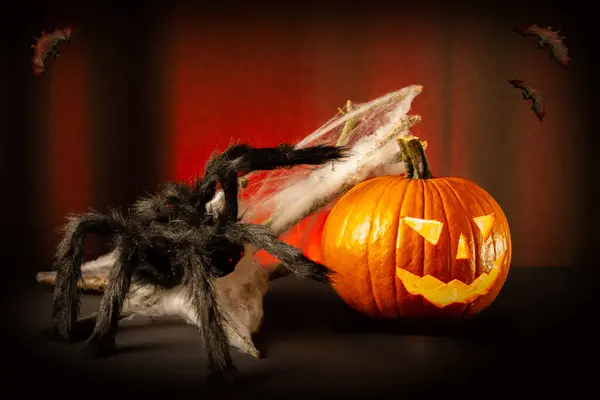 Halloween Pumpa Med Spindelväv Och Spindelväv Mörk Bakgrund — Stockfoto