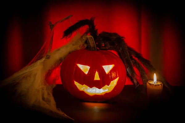 Halloween Pumpa Med Spindel Mörkret Selektiv Inriktning — Stockfoto