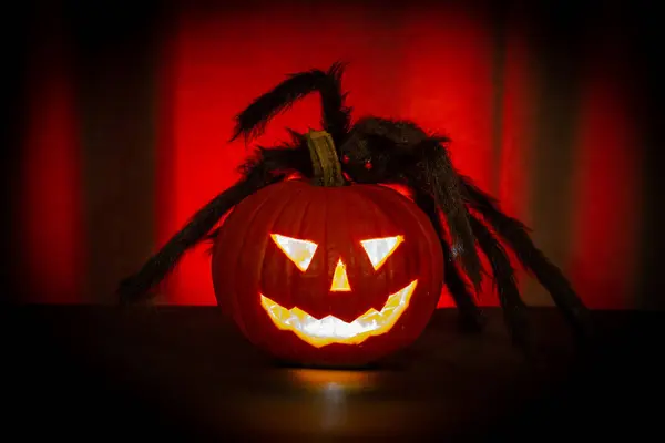 Halloween Pumpa Med Spindel Mörkret Selektiv Inriktning — Stockfoto