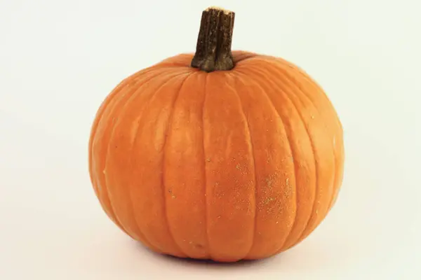 Abóbora Sobre Fundo Branco Colheita Outono Halloween — Fotografia de Stock