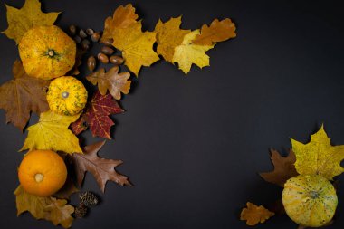 Siyah arka planda sonbahar yaprakları ve balkabakları. Düz yatış, üst görünüm.