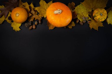 Siyah arka planda sonbahar yaprakları ve balkabakları. Düz yatış, üst görünüm.