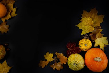 Siyah arka planda sonbahar yaprakları ve balkabakları. Düz yatış, üst görünüm.