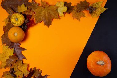 Turuncu ve siyah arka planda balkabakları, yaprakları ve palamutları olan sonbahar arkaplanı