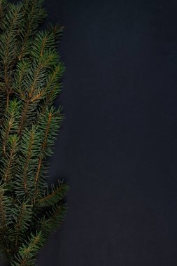  Bir Noel ağacı, siyah arka planda süslemeler. Üst görünüm.