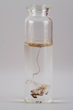 Net bir sıvıda çözünen bir damla kan.