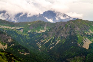 Ukrayna Karpatlarının güzel dağları. Yaz havası. Doğa, dünyayı dolaş..