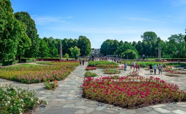 Oslo, Norveç - 13 Ağustos 2022: Vigeland Park, Frogner Park 'ta geniş Norveç gülleri koleksiyonu ve Vigeland Kurulumu.
