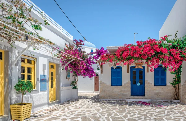 Antiparos, Yunanistan - 23 Haziran 2023: Bougainvillea ağaçlarının bulunduğu parke sokaktaki geleneksel beyaz boyalı evler.