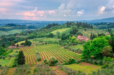 İtalya, Toskana 'da üzüm bağları olan manzaralı bir yer. Fotoğraf San Gimignano yakınlarında çekildi..