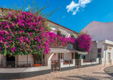 Cascais, Portekiz - 27 Ekim 2024: Tarihi eski kentte bir bougainvillea kaldırım kafesi. Cascais, Portekiz Riviera 'sında bir tatil köyüdür..
