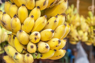 ekilmiş muz ya da Pisang Awak Muz ya da Kluai Namwa (Musa sapientum Linn) (Musa ABB CV.Kluai Namwa) 