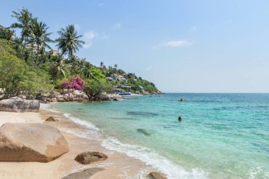 Koh Tao Adası plajı veya Kaplumbağa Adası 'nın yaz günü mavi gökyüzü altındaki manzarası Tayland, Surat Thani ve Tayland Körfezi' ndeki ünlü turistik merkezdir. 