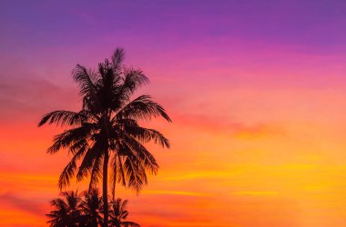 Gün batımında hindistan cevizi palmiyeleri silueti