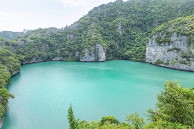 Zümrüt tuzlu su gölü veya kristal göl veya Tayland 'daki Mu Ko Ang Thong Ulusal Parkı' ndaki Mae Koh adasındaki Thale Nai lagünü.