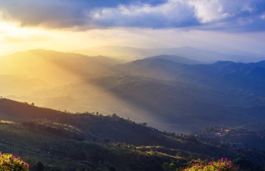             Gün batımı manzarası dağlarda doi chang mup Chiangrai, nothe Thailand önplandaki pembe impatiens balsamina çiçeklerine seçici odaklanma