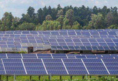 Güneş enerjisi istasyonundaki sıra sıra güneş pilleri veya fotovoltaik güneş enerjisini güneşten alternatif yenilenebilir enerji verimliliğine dönüştürür.