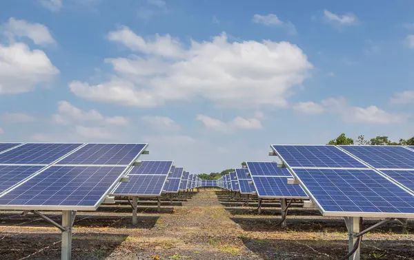 Güneş enerjisi istasyonundaki polikristalize silikon ya da fotovoltaik hücrelerin sıralanması enerji devrimi için alternatif teknoloji