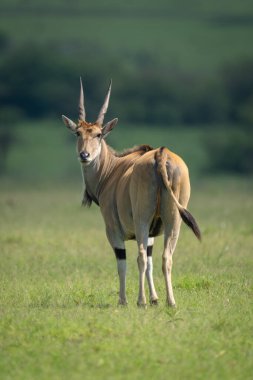 Arazi kameraya doğru dönüyor