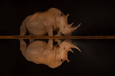 Erkek beyaz gergedan kara su birikintisine yansıyor.