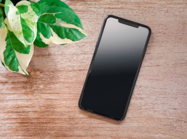 Top view, smartphone and Epipremnum aureum plant in pot or little tree on wooden table. Flat lay, space for your text