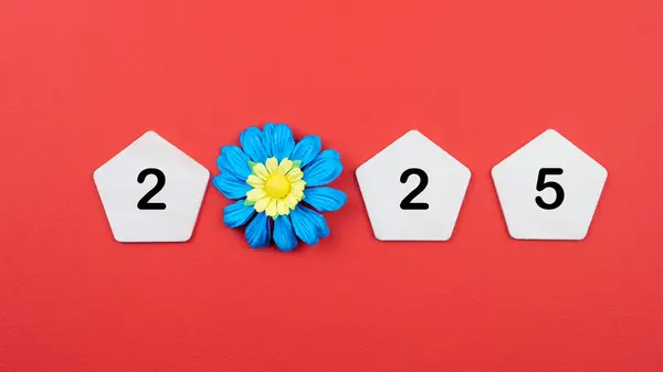 Üst manzara, ahşap beşgen üzerinde 2025 numara ve kırmızı zemin üzerinde mavi çiçekler. Tatiller, kutlamalar, büyüme ve başarı planları. Tatil geçmişi. Mutlu yıllar 2025