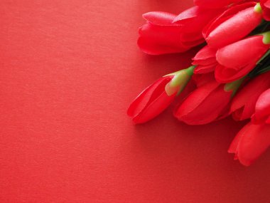 Kırmızı arkaplanda kırmızı lale çiçeklerinin fotokopi alanının olduğu üst manzara. Sevgililer Günü, Anneler Günü, Kadınlar Günü ve Doğum Günü konsepti