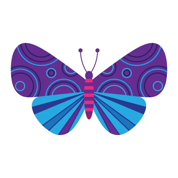 Púrpura Azul Colorido Mariposa Clip Vector Arte Aislado Sobre Fondo — Archivo Imágenes Vectoriales