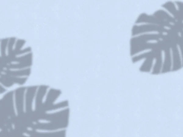 Тропические Листья Тени Обои Синий Фон Брендинга — стоковое фото