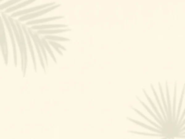 Pastelowe Tło Cienie Liści Ścianie Teksturowane Tło Znakowania Minimalistyczna Tapeta — Zdjęcie stockowe