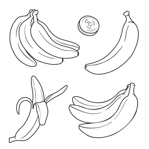 Muz vektör çizgisi sanat çizimi, meyve koleksiyonu