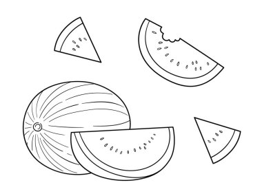 Karpuz vektör çizgisi resim seti, narin siyah beyaz meyve çizimi