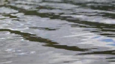 Makro, istiridye suyuna yaklaş, gölde dalgalar.