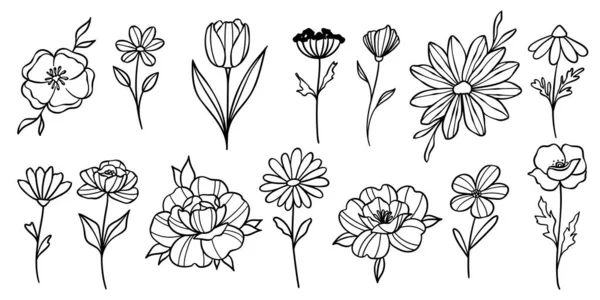 Çiçek karalamaları, vektör çiçek çizimleri şirin el çizimi dekoratif element seti