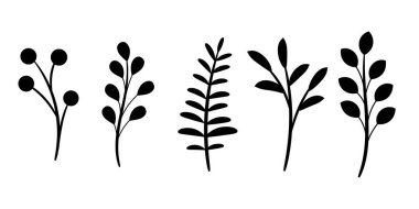 Yaprak siluet seti, basit yapraklar düz vektör klipsi resim çizimi seti