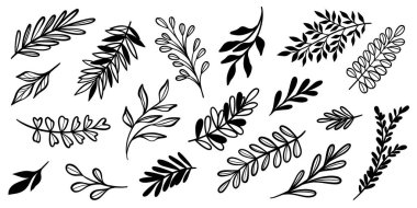 Yaprak çizim seti, vektör bitki klipsi sanatı, el çizimi sanat çizimleri, modern izole karalama koleksiyonu.