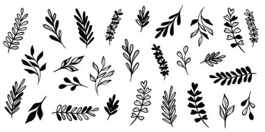 Yaprak vektör karalama, bitki çizim seti, el çizimi modern klip sanat öğesi kolleksiyonu