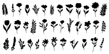 Bitki vektörü siluetleri, el çizimi çiçek ve yaprak elementleri, izole edilmiş klipsli sanat seti