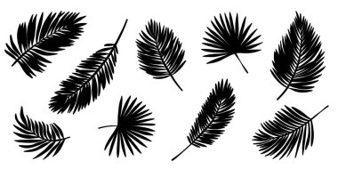 Palmiye yaprağı siluet klipsi seti, izole tropikal yapraklar, dekoratif çizim elementleri