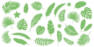 Tropikal yaprak çizgisi sanat silueti, vektör illüstrasyon seti, yaz klipsi sanat unsurları, izole edilmiş