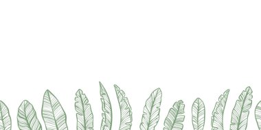 Tropikal vektör bayrağı, kusursuz tekrarlayan muz yaprakları, çizgi sanatı