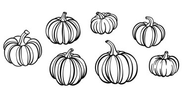 Balkabağı çizgisi çizimi, el çizimi karalama, sonbahar dekoratif klip sanat unsurları, izole edilmiş