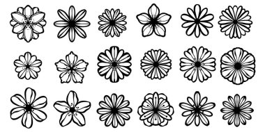 Çiçek çizgisi resim seti, el çizimi karalama, papatya çizimi, izole edilmiş