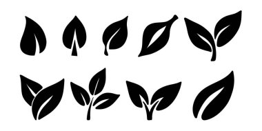Yaprak simgesi karalama seti, siluet yaprakları, izole semboller