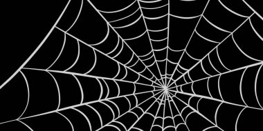 Kara örümcek ağı Cadılar Bayramı vektör illüstrasyon el çizimi arkaplan tasarımı