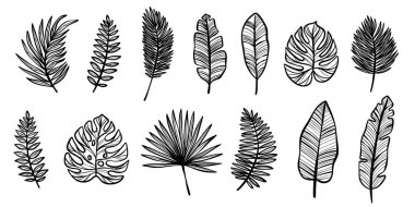 Tropikal egzotik çizgi sanat yaprağı seti, vektör yaprakları klipsli sanat illüstrasyonu, yaz yapraklı dekoratif öğeler izole edilmiş.
