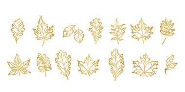 Sonbahar, altın vektör illüstrasyon seti, çizgi sanat narin yaprak şekil koleksiyonu bırakır